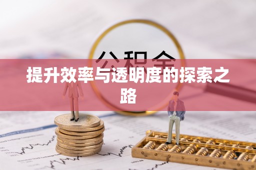 端州提升效率与透明度的探索之路
