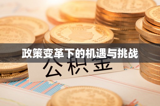 端州政策变革下的机遇与挑战