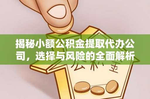 端州揭秘小额公积金提取代办公司，选择与风险的全面解析