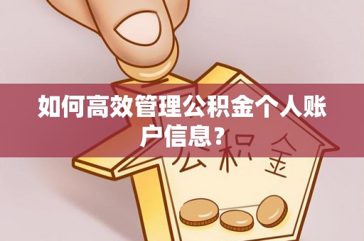 端州如何高效管理公积金个人账户信息？
