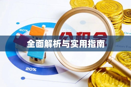 端州全面解析与实用指南